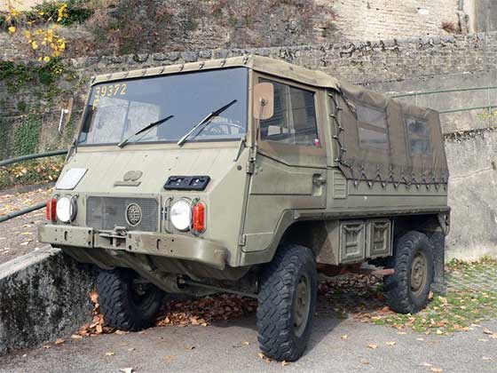 pinzgauer.jpg