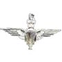 parachute regiment