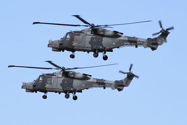 815 NAS Wildcat helicopters