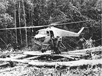 sas helicopter malaya