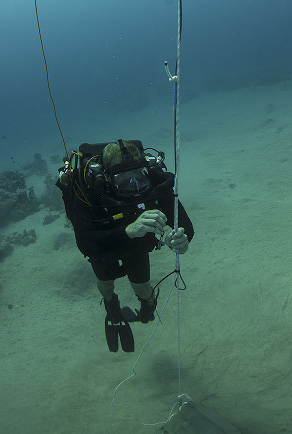 Fleet Diving Unit 3