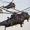 commando helicopter force