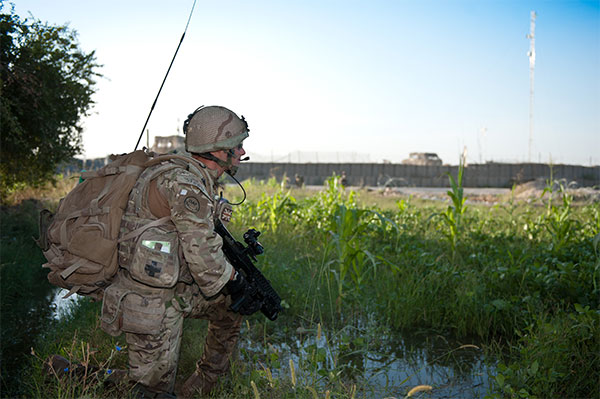 29 Commando Royal Artillery