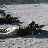 Royal Marines test firing sa80s