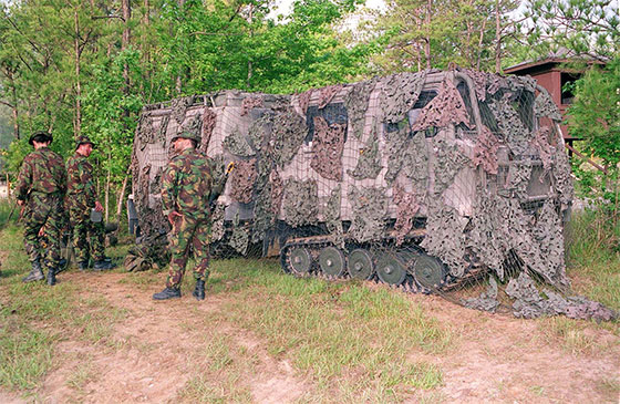 bv 206d