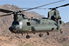 Chinook