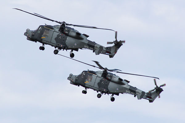 815 NAS Wildcat helicopters