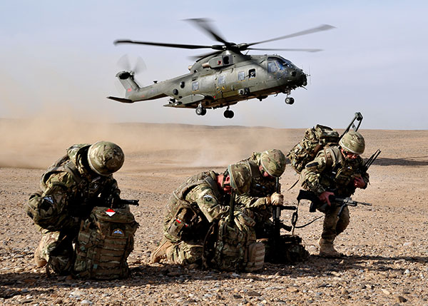 2 Squadron RAF Regiment