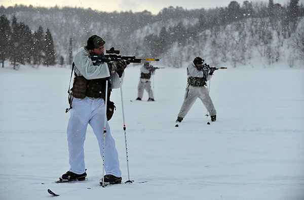 Mountain Leaders arctic warfare training