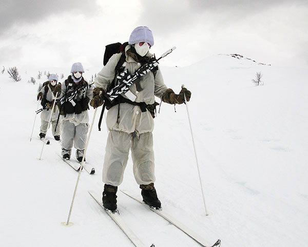 Royal Marines Reservists