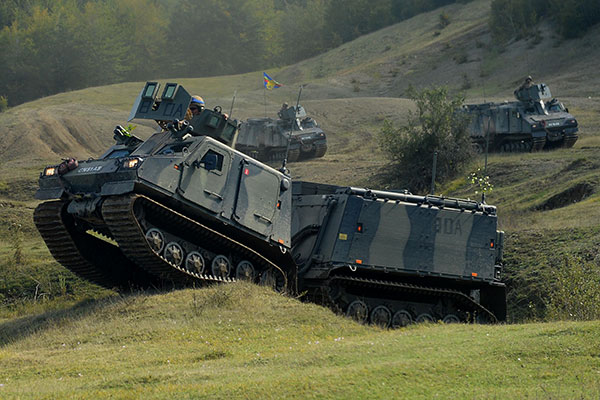 Viking with the Armoured Support Group