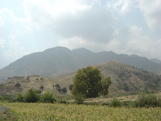Tora Bora